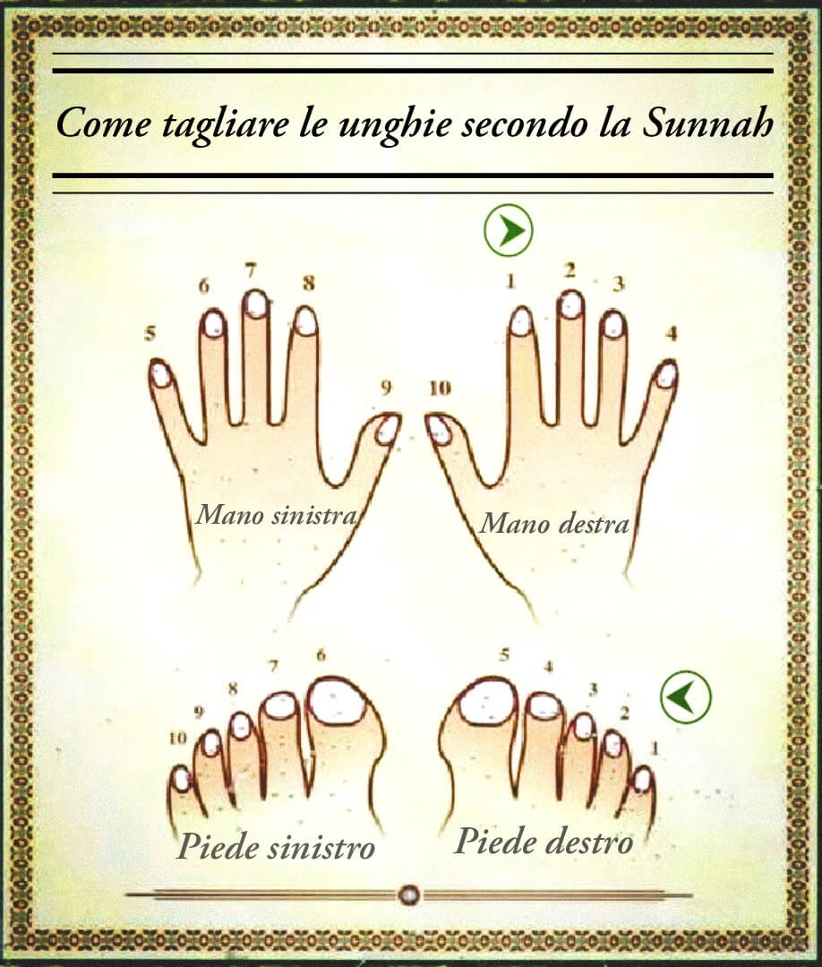 come tagliare unghie islam, sequenza taglio unghie islam, sequenza taglio unghie sunnah