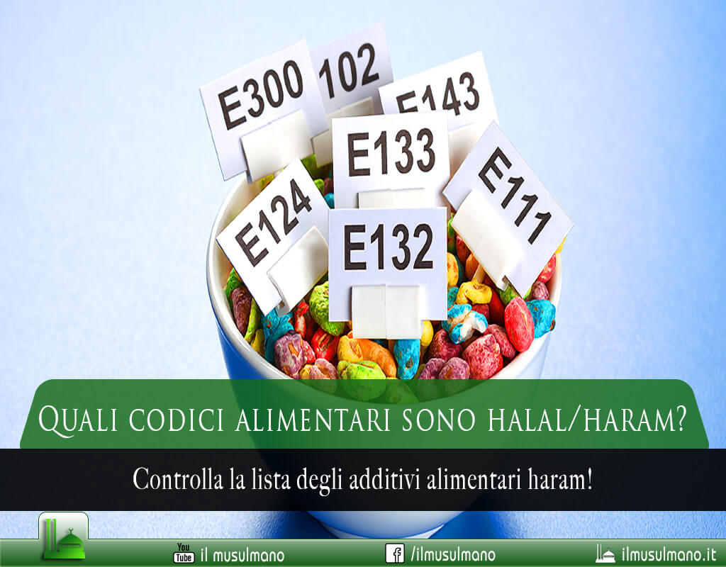 quali codici alimentari sono haram, quali codici alimentari sono halal, lista additivi alimentari halal, lista additivi alimentari haram, tabella codici alimentari halal o haram